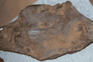 شهاب سنگهای مریخی 	Martian meteorites