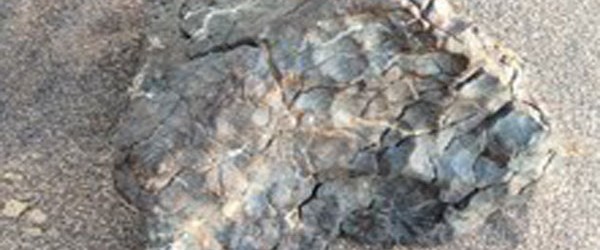 کشف دومین شهاب سنگ بزرگ ایران پس از ۱۳۴ سال در بیابان لوت